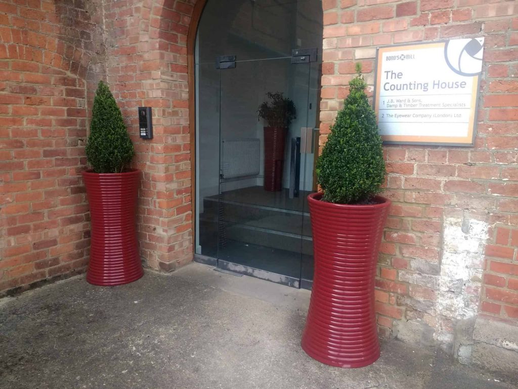 RH Stonehouse Buxus Crassula - Interior and Exterior Office Plants for Business in Gloucestershire by Planterama