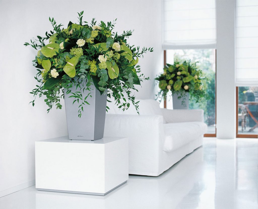 Lechuza - Planters for Sale and for Hire from Planterama in Gloucestershire