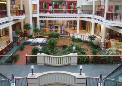 Shopping Centre Plants by Planterama in Gloucestershire