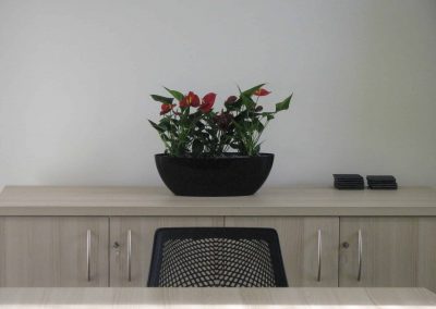Capita Office Plants by Planterama in Gloucestershire