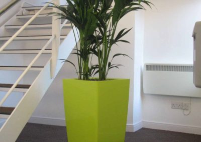 Capita Office Plants by Planterama in Gloucestershire