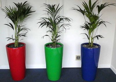 Workspace, Hotel, Showroom and more Plants in Gloucestershire by Planterama