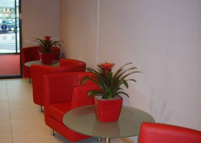 Office Entrance Plants in Gloucestershire by Planterama