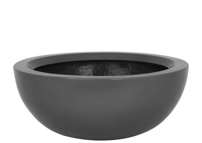 Euro Bowl - Interior and Exterior Office Plants for Business in Gloucestershire by Planterama
