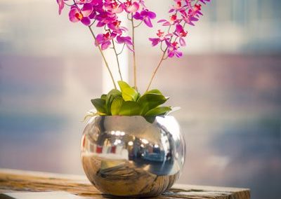Euro Sphere - Interior and Exterior Office Plants for Business in Gloucestershire by Planterama