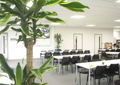 Office Plants in Gloucestershire by Planterama