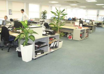 Working Space and Office Plants in Gloucestershire by Planterama