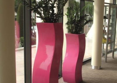 LG Curvy S - Interior and Exterior Office Plants for Business in Gloucestershire by Planterama