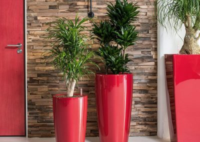 Lechuza Rondo - Interior and Exterior Office Plants for Business in Gloucestershire by Planterama