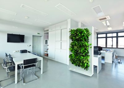 Mobilane Divider Office - Interior Garden Wall Plants for Businesses in Gloucestershire by Planterama
