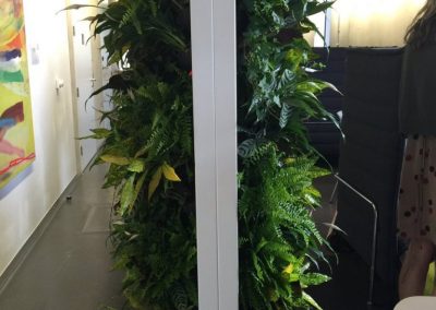 Mobilane Divider Side - Interior Garden Wall Plants for Businesses in Gloucestershire by Planterama