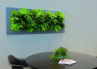 Mobilane Picture Table - Interior Garden Wall Plants for Businesses in Gloucestershire by Planterama