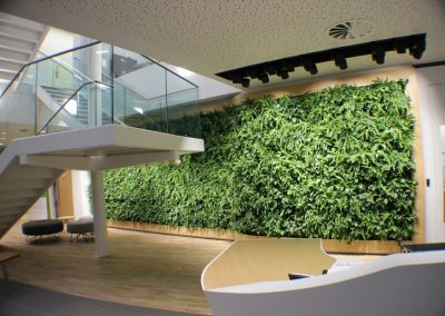 Mobilane Wall - Interior Garden Wall Plants for Businesses in Gloucestershire by Planterama