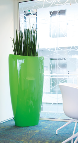 NG Ovation - Interior and Exterior Office Plants for Business in Gloucestershire by Planterama