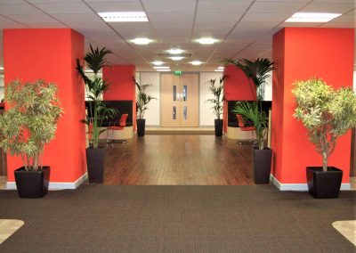 Working Space and Office Plants in Gloucestershire by Planterama
