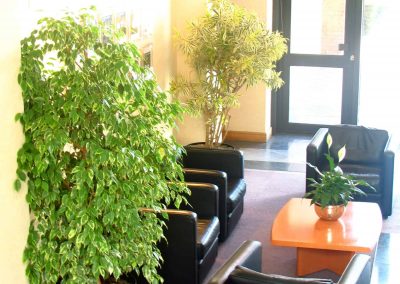 Capita Office Plants by Planterama in Gloucestershire