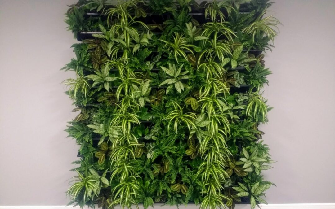 Living Walls