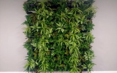 Living Walls