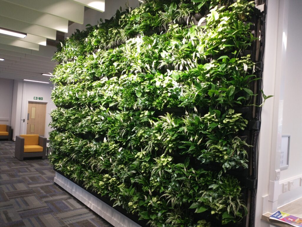 Living Wall