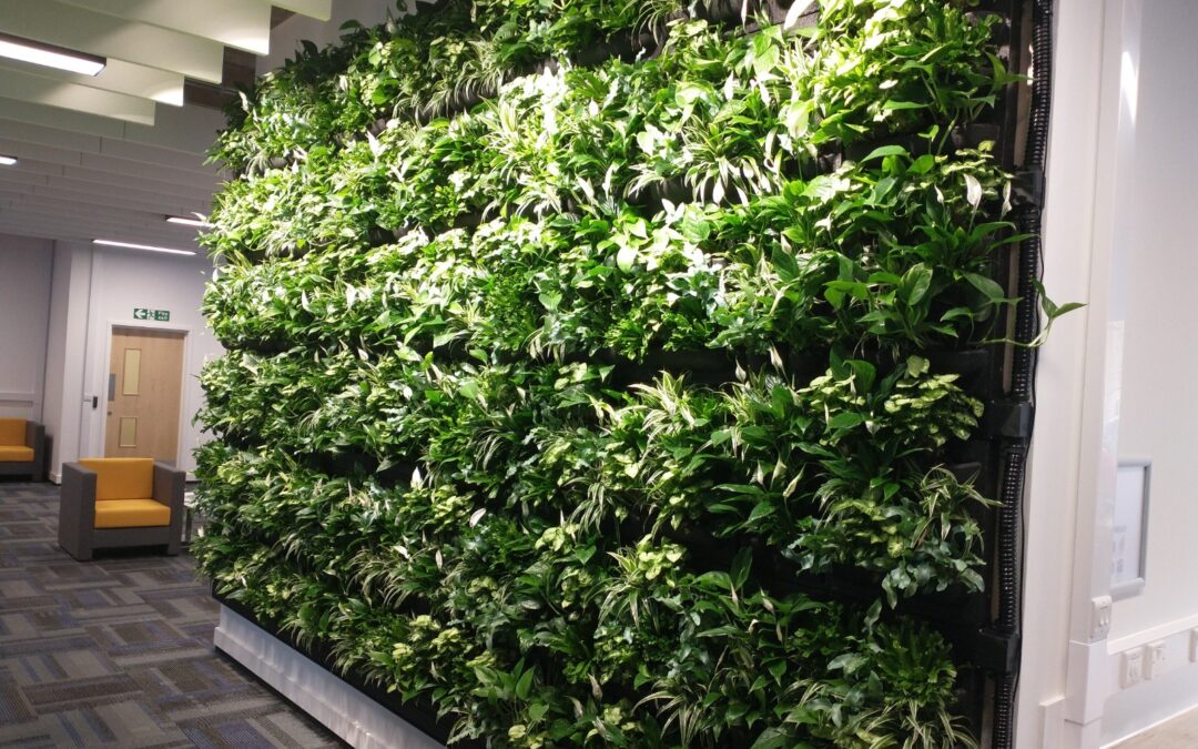 Large Living Wall in Gloucester
