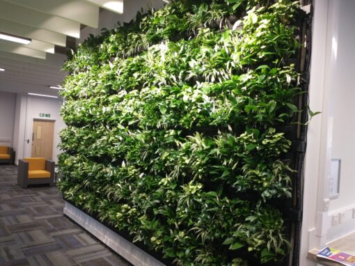 Large Living Wall in Gloucester