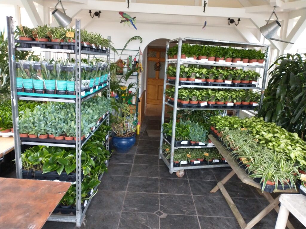 Living Wall
